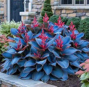 Хоста Грин Фог купить по цене от 669р. в интернет-магазине «Посадика» с доставкой почтой в в Туапсее и по всей России – [изображение №1].