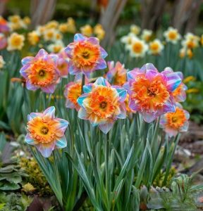 Нарцисс Айвери Дон купить по цене от 3000р. в интернет-магазине «Посадика» с доставкой почтой в в Туапсее и по всей России – [изображение №1].