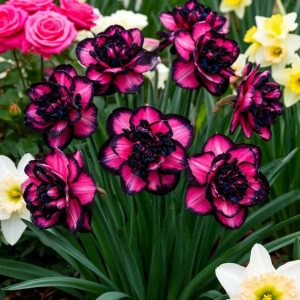 Нарцисс Золотая Корона купить по цене от 2000р. в интернет-магазине «Посадика» с доставкой почтой в в Туапсее и по всей России – [изображение №1].