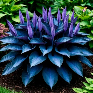 Хоста Сикрет Гров купить по цене от 570р. в интернет-магазине «Посадика» с доставкой почтой в в Туапсее и по всей России – [изображение №1].