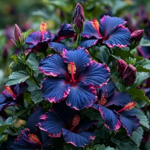 Гибискус Голден Глоу купить по цене от 259р. в интернет-магазине «Посадика» с доставкой почтой в в Туапсее и по всей России – [изображение №1].