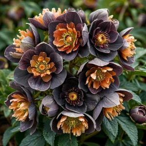 Морозник Блум Айс купить по цене от 499р. в интернет-магазине «Посадика» с доставкой почтой в в Туапсее и по всей России – [изображение №1].