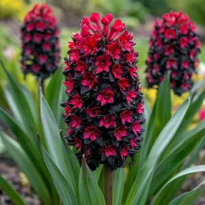 Гиацинт Джем Стоун купить по цене от 2099р. в интернет-магазине «Посадика» с доставкой почтой в в Туапсее и по всей России – [изображение №1].