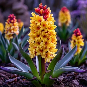 Гиацинт Миднайт Мистери купить по цене от 2099р. в интернет-магазине «Посадика» с доставкой почтой в в Туапсее и по всей России – [изображение №1].