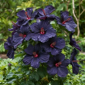 Гибискус Мэджик Момент купить по цене от 699р. в интернет-магазине «Посадика» с доставкой почтой в в Туапсее и по всей России – [изображение №1].