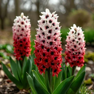 Гиацинт Скай Гарден купить по цене от 2099р. в интернет-магазине «Посадика» с доставкой почтой в в Туапсее и по всей России – [изображение №1].